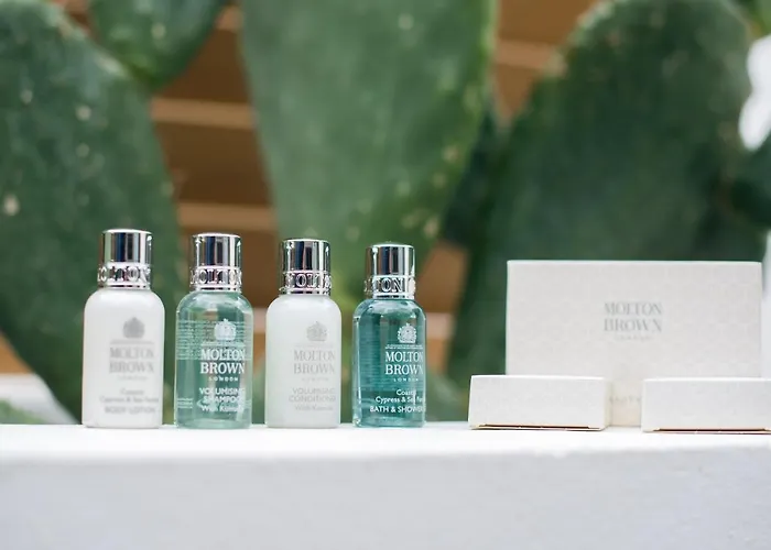 Apartman Aba ηospitalite, The Deluxe Suite, *