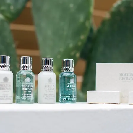 Apartment Aba ηospitalite, The Deluxe Suite, *